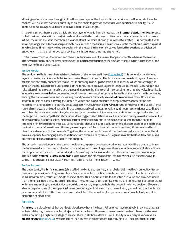 Anatomy and Physiology 2e - New Page
