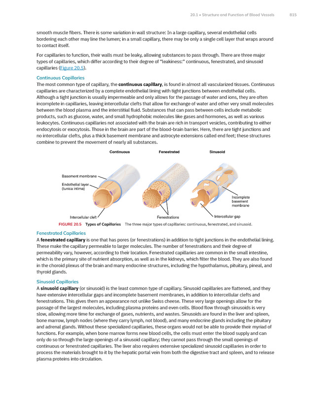 Anatomy and Physiology 2e - New Page