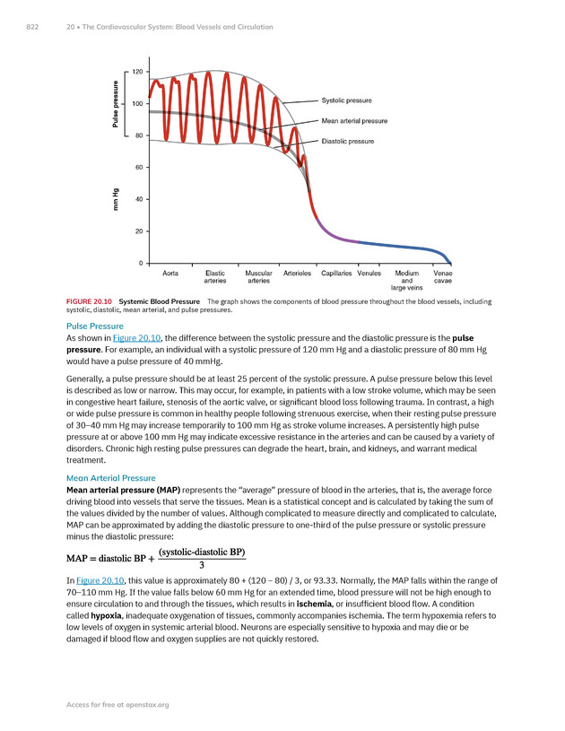 Anatomy and Physiology 2e - New Page