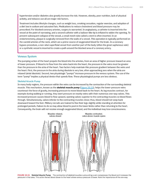 Anatomy and Physiology 2e - New Page