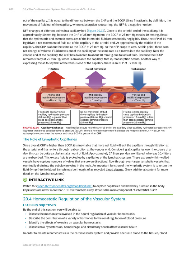 Anatomy and Physiology 2e - New Page