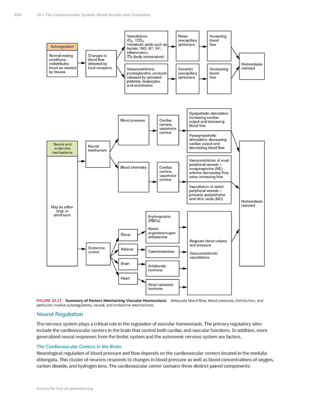 Anatomy and Physiology 2e - New Page
