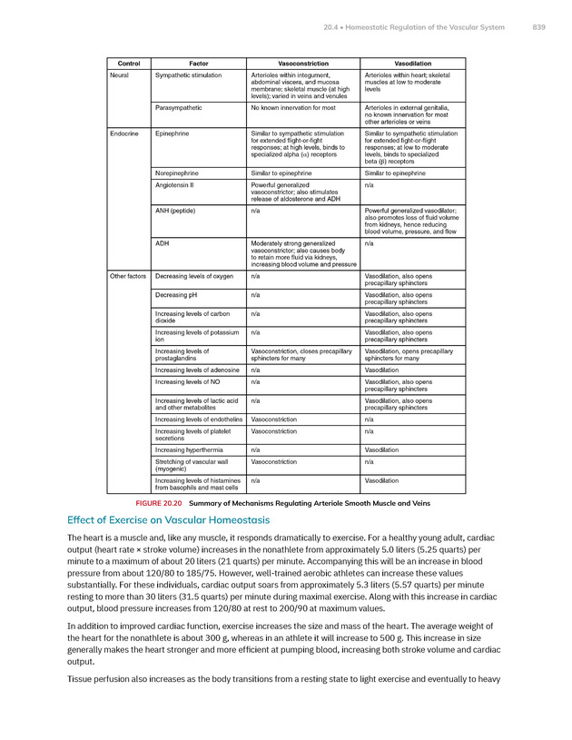Anatomy and Physiology 2e - New Page