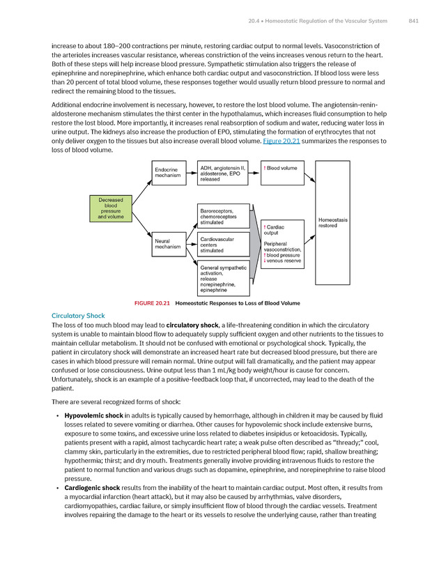 Anatomy and Physiology 2e - New Page