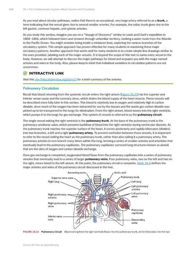 Anatomy and Physiology 2e - New Page