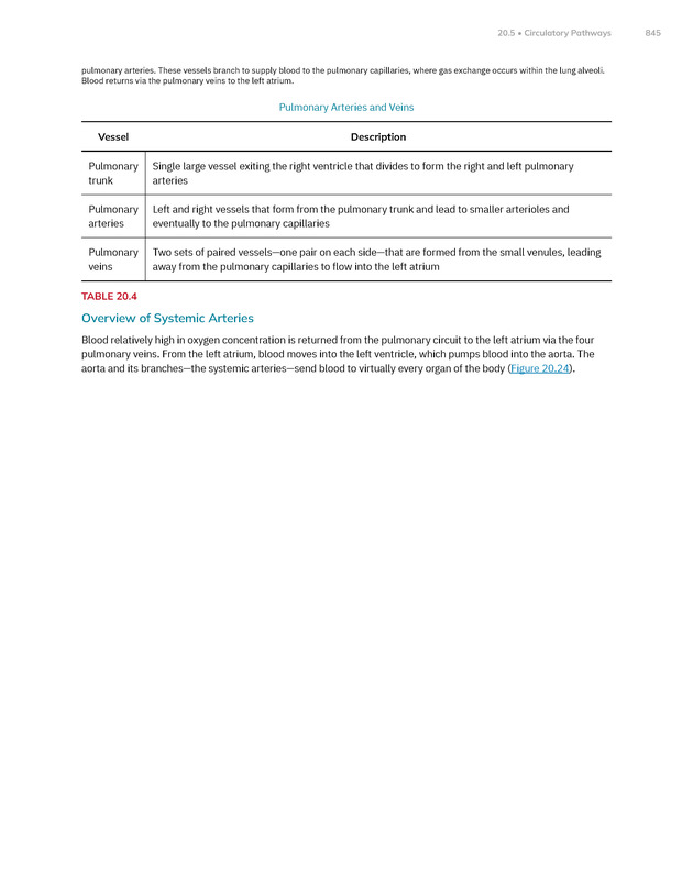 Anatomy and Physiology 2e - New Page