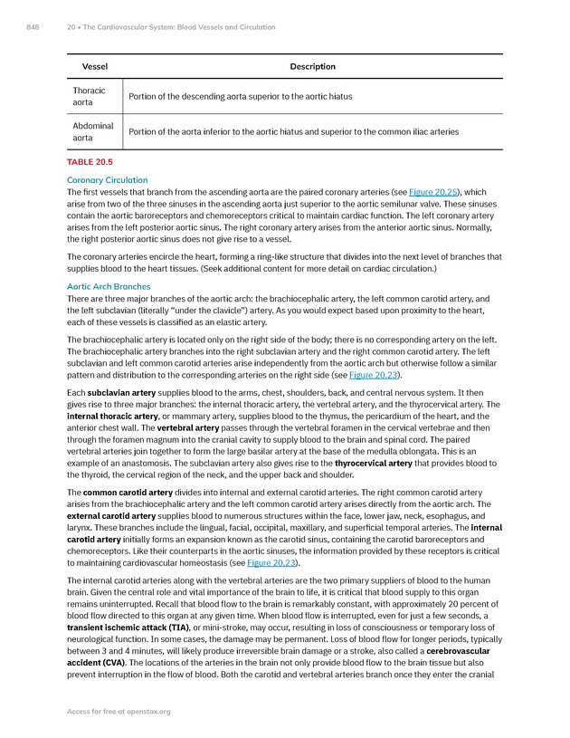 Anatomy and Physiology 2e - New Page