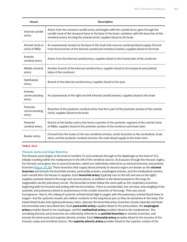 Anatomy and Physiology 2e - New Page