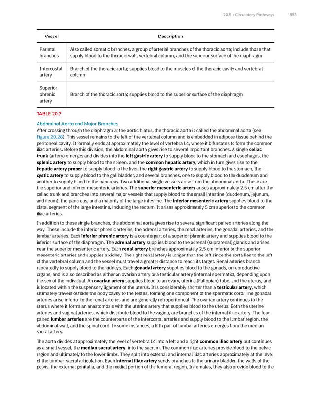 Anatomy and Physiology 2e - New Page