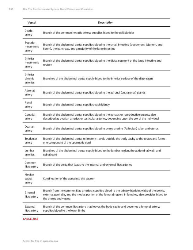 Anatomy and Physiology 2e - New Page