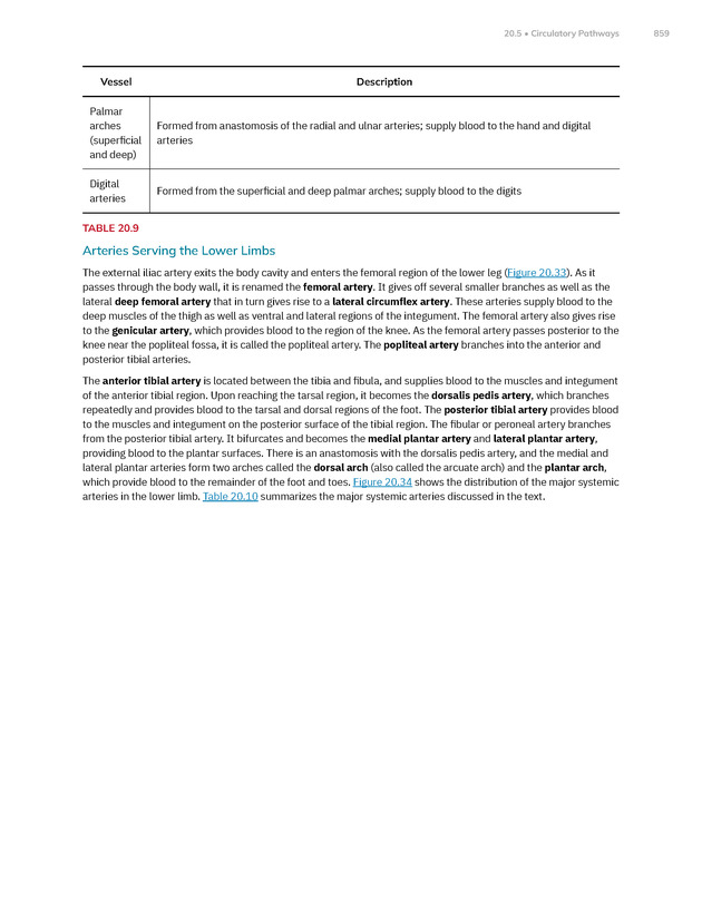 Anatomy and Physiology 2e - New Page