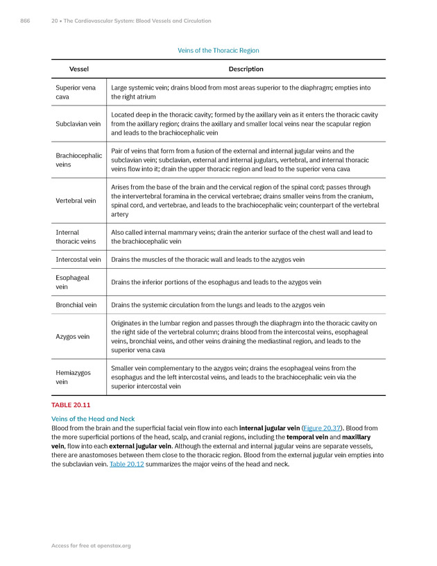 Anatomy and Physiology 2e - New Page