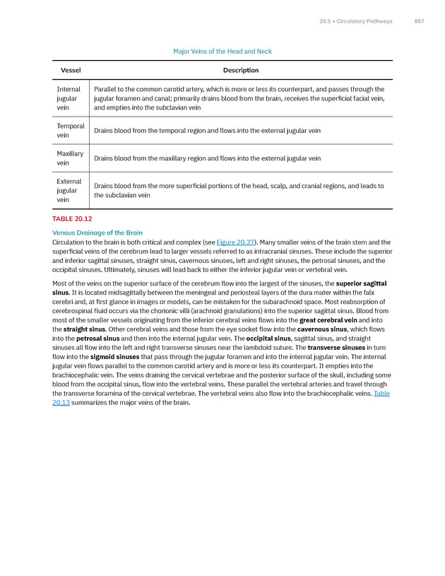 Anatomy and Physiology 2e - New Page
