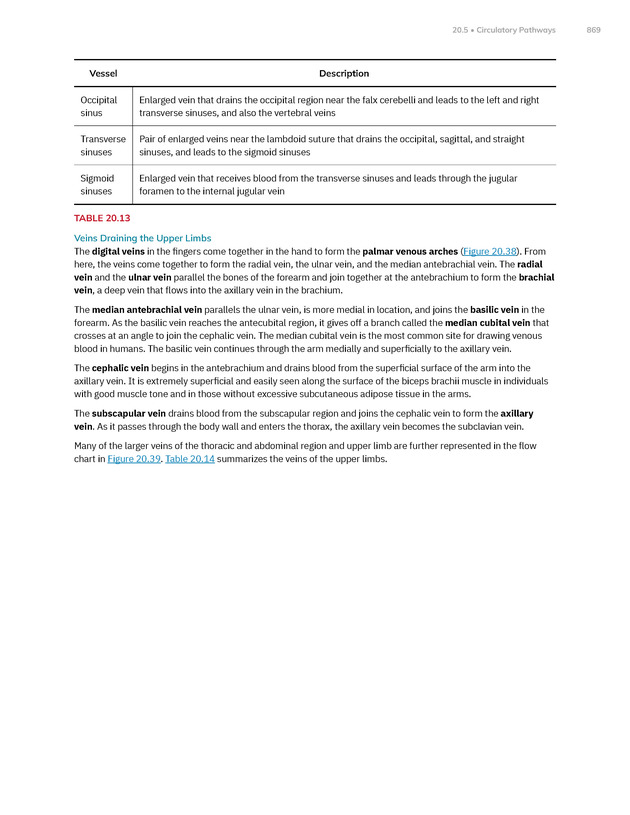 Anatomy and Physiology 2e - New Page
