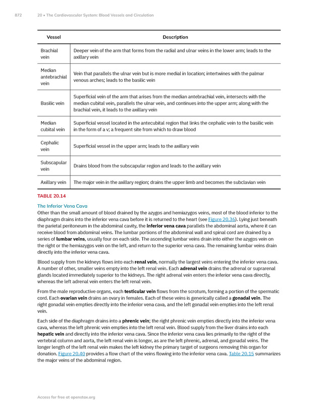 Anatomy and Physiology 2e - New Page