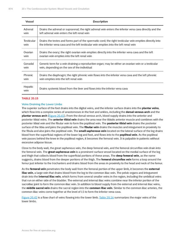 Anatomy and Physiology 2e - New Page