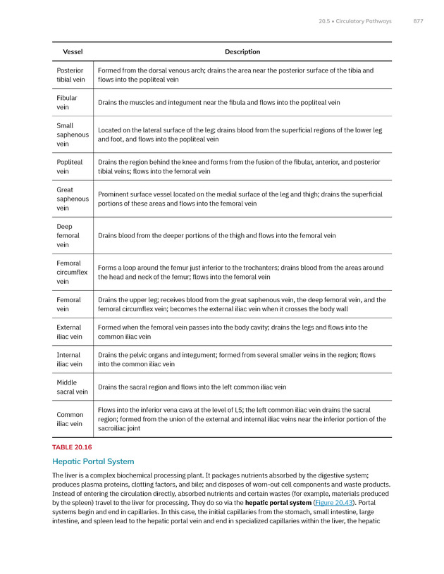 Anatomy and Physiology 2e - New Page