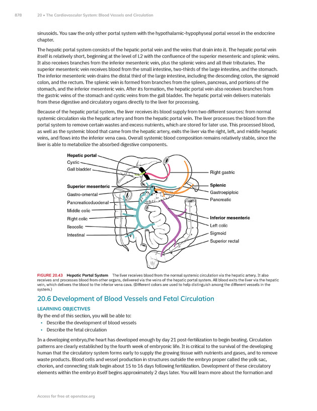 Anatomy and Physiology 2e - New Page