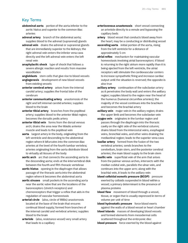 Anatomy and Physiology 2e - New Page