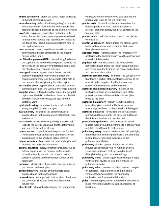 Anatomy and Physiology 2e - New Page