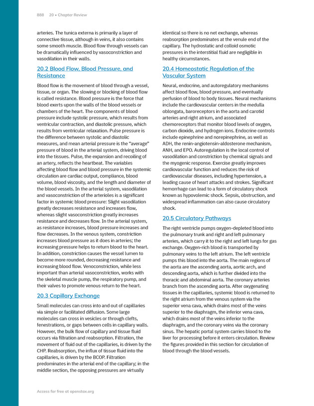 Anatomy and Physiology 2e - New Page
