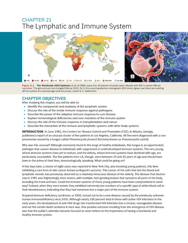 Anatomy and Physiology 2e - New Page