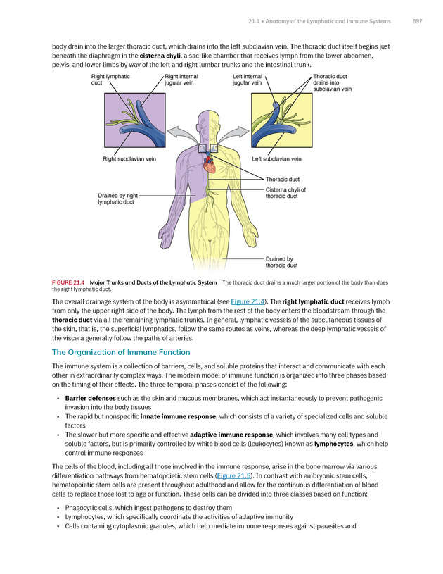 Anatomy and Physiology 2e - New Page