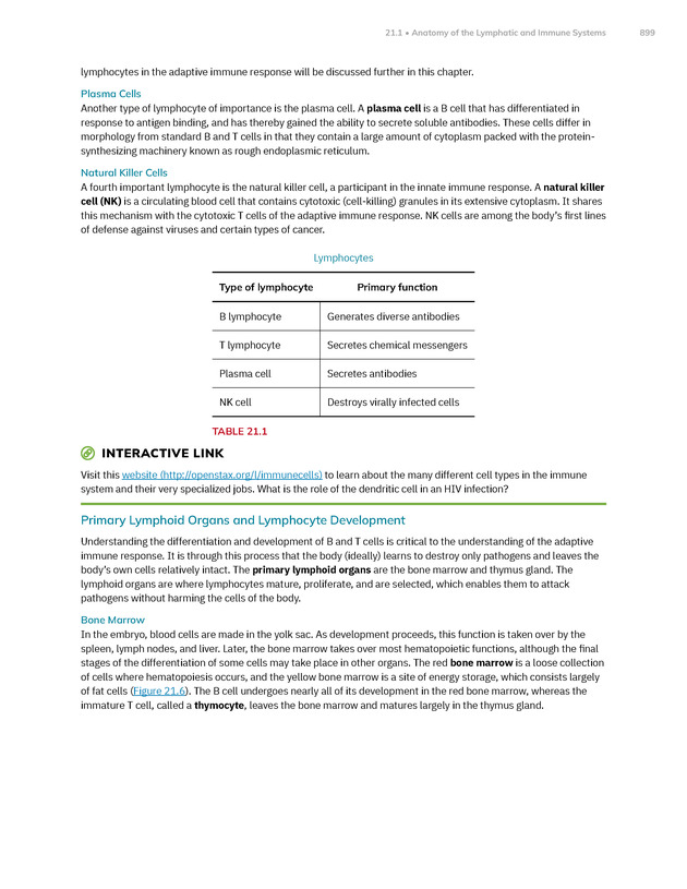Anatomy and Physiology 2e - New Page
