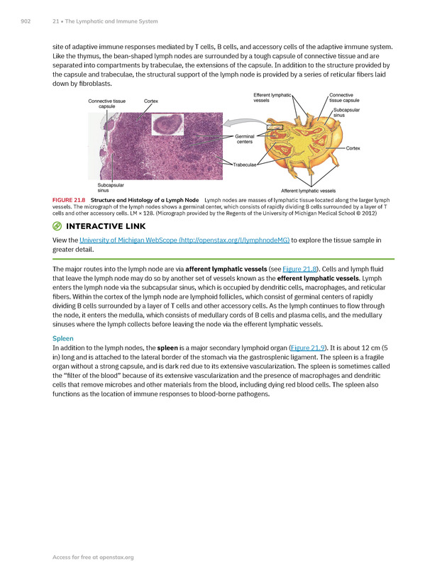 Anatomy and Physiology 2e - New Page