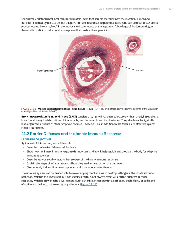 Anatomy and Physiology 2e - New Page