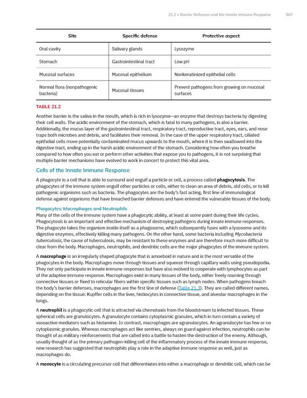 Anatomy and Physiology 2e - New Page