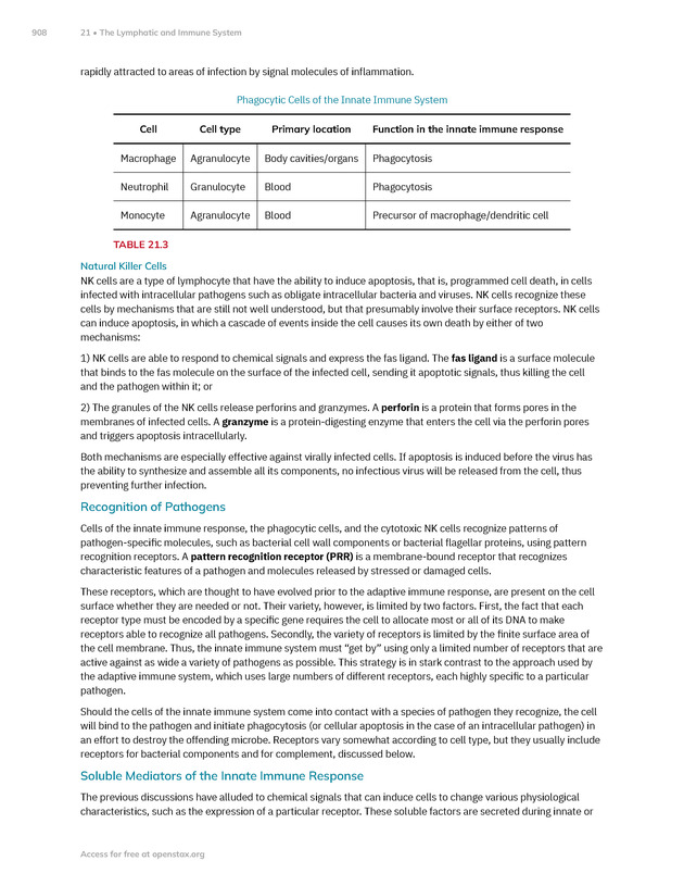 Anatomy and Physiology 2e - New Page