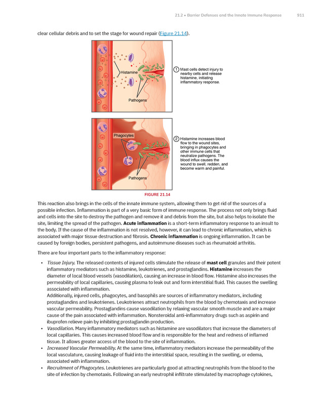 Anatomy and Physiology 2e - New Page