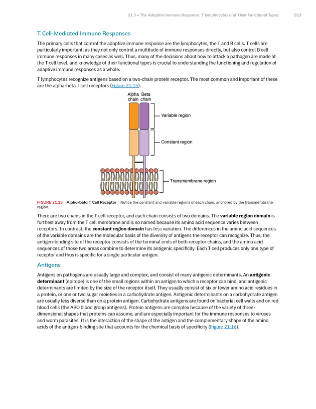 Anatomy and Physiology 2e - New Page