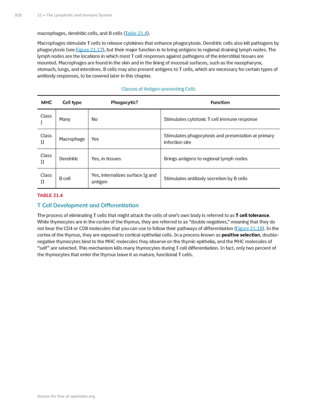 Anatomy and Physiology 2e - New Page