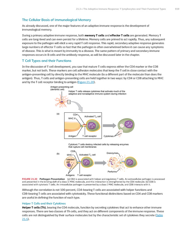 Anatomy and Physiology 2e - New Page