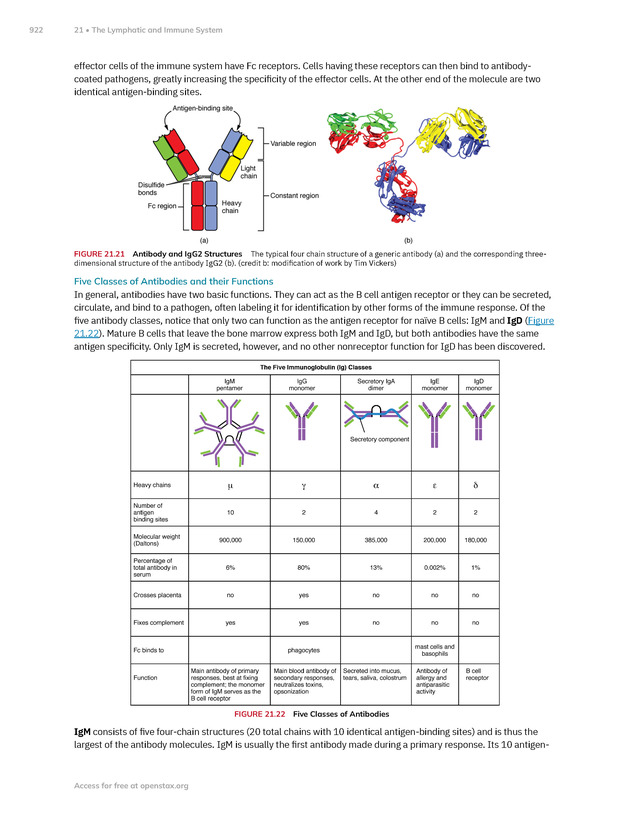 Anatomy and Physiology 2e - New Page