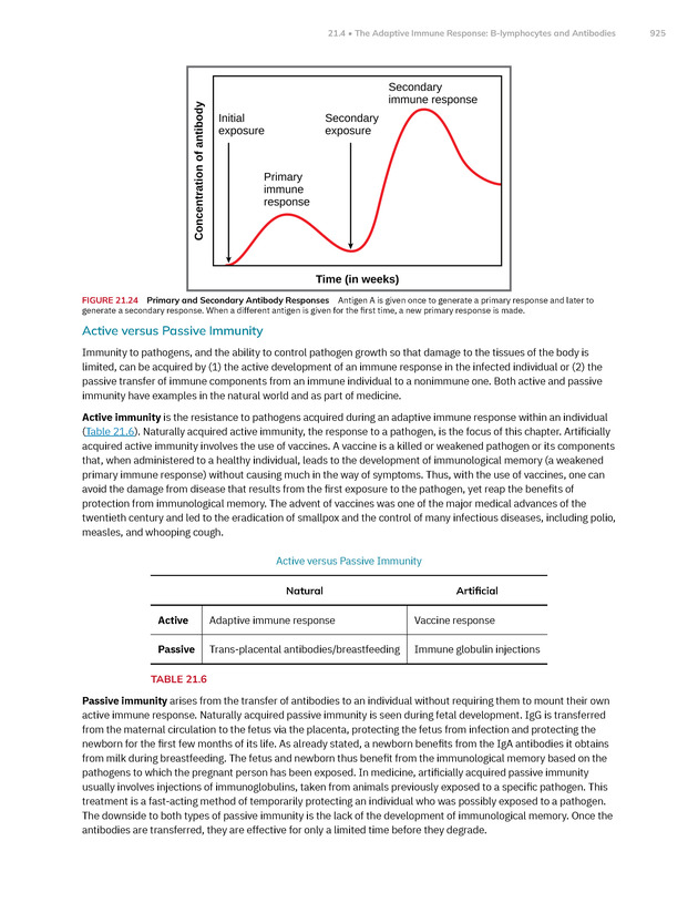 Anatomy and Physiology 2e - New Page