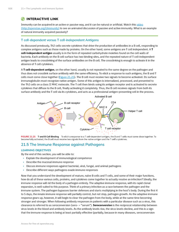 Anatomy and Physiology 2e - New Page