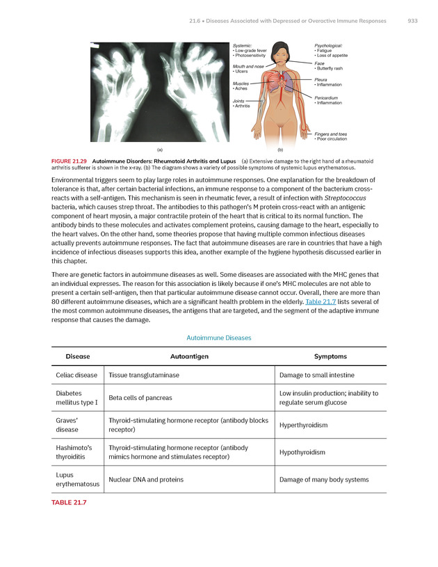 Anatomy and Physiology 2e - New Page