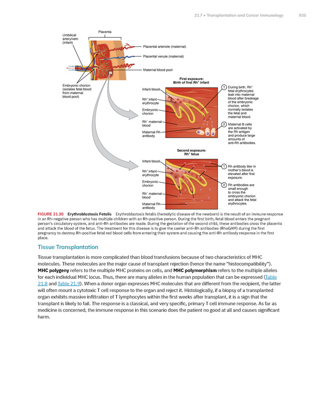 Anatomy and Physiology 2e - New Page