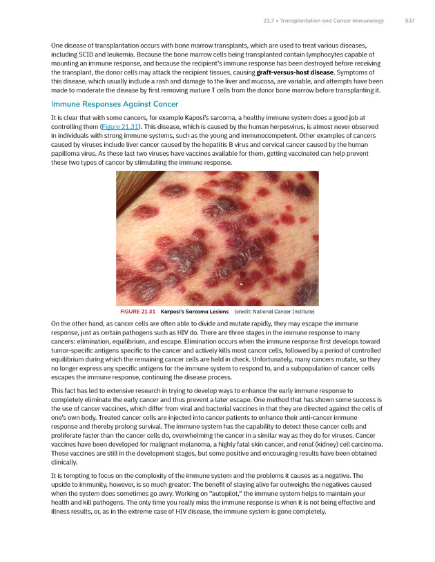 Anatomy and Physiology 2e - New Page