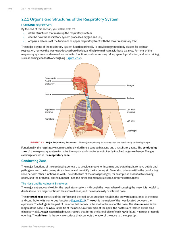 Anatomy and Physiology 2e - New Page