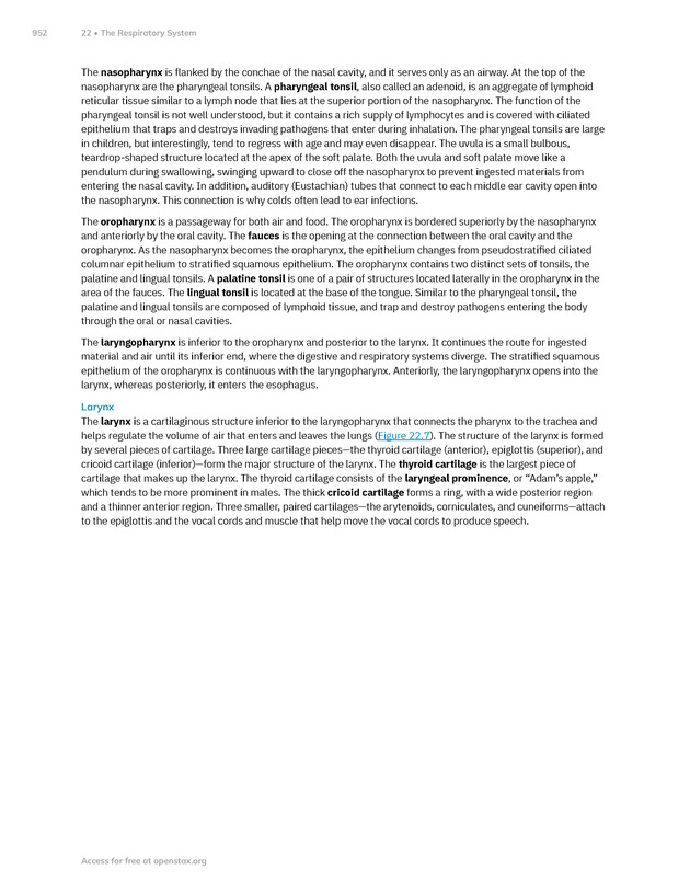 Anatomy and Physiology 2e - New Page