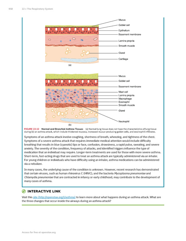 Anatomy and Physiology 2e - New Page