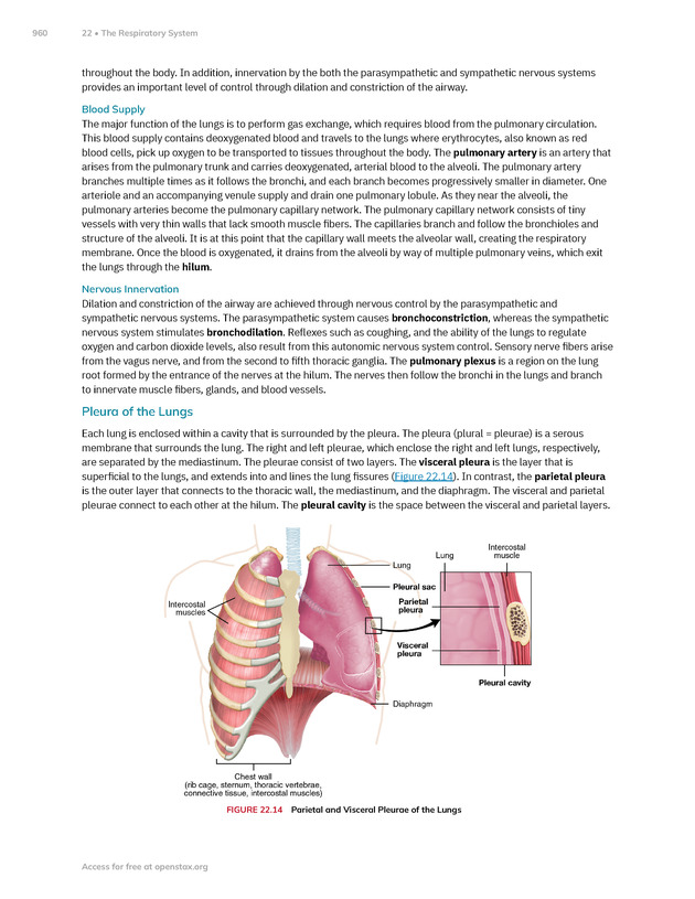 Anatomy and Physiology 2e - New Page