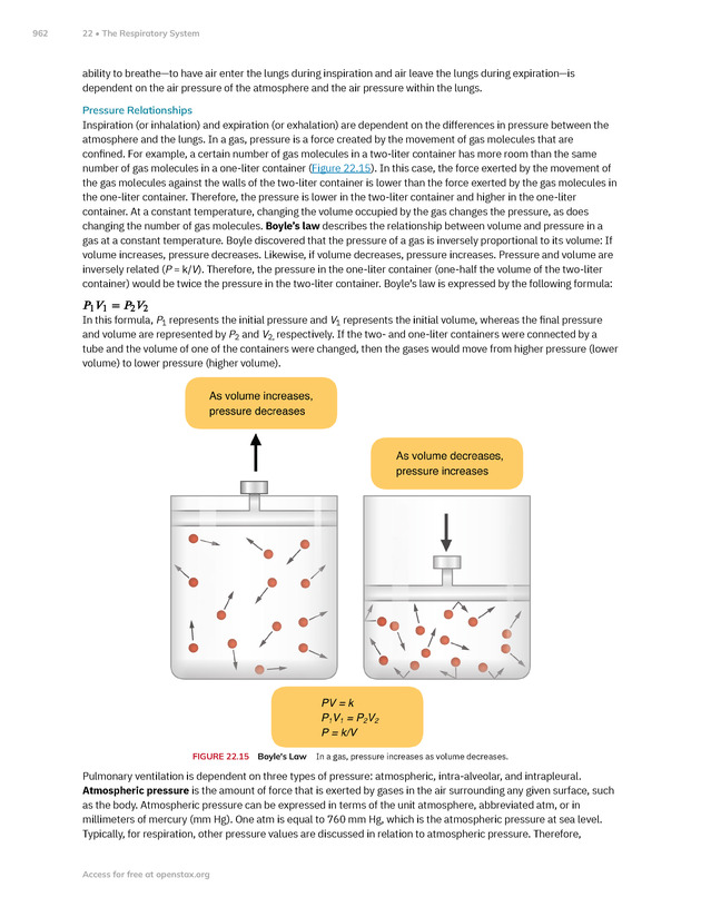 Anatomy and Physiology 2e - New Page