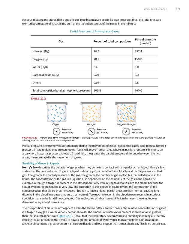 Anatomy and Physiology 2e - New Page