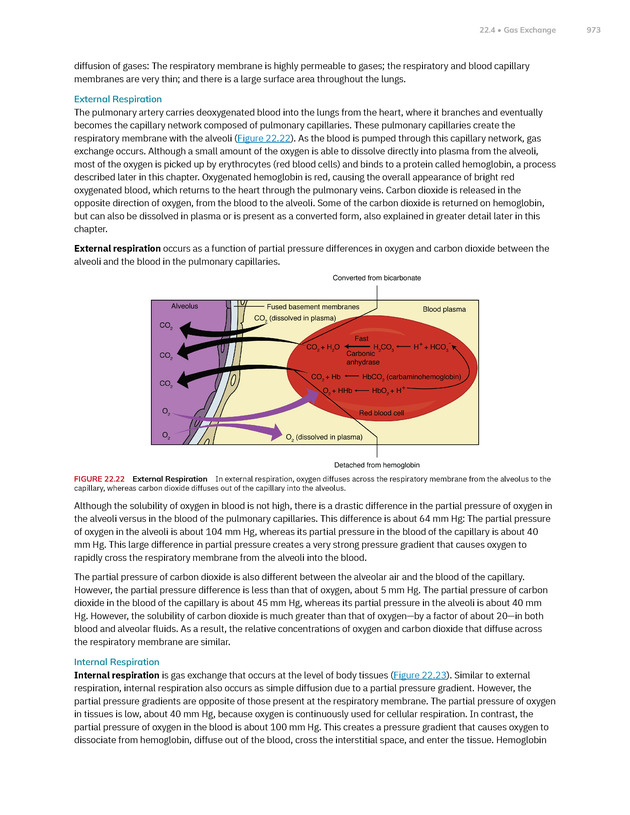 Anatomy and Physiology 2e - New Page
