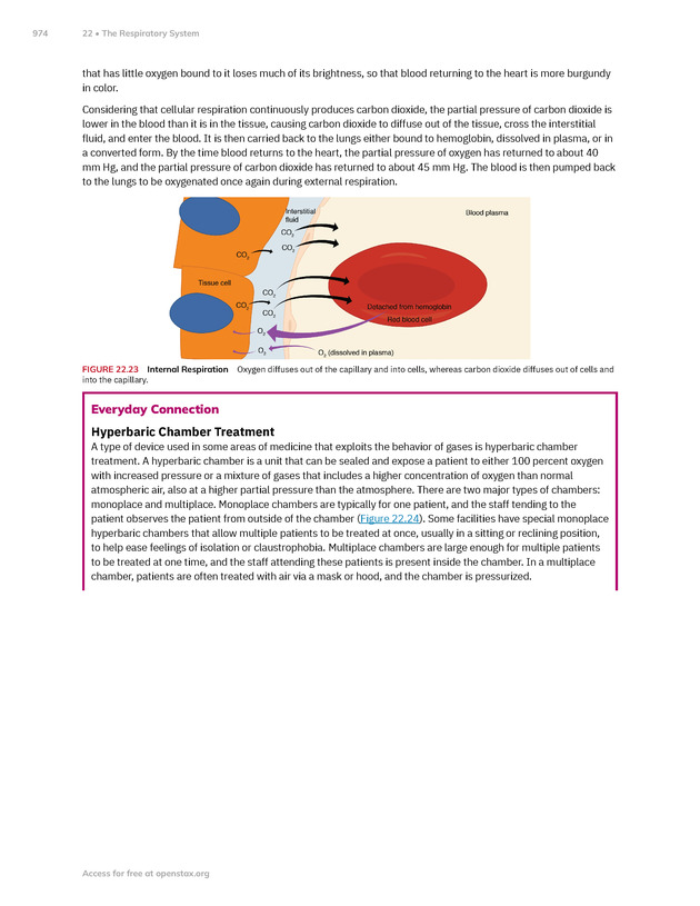 Anatomy and Physiology 2e - New Page